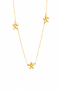 Asteria - Y [23354-2]