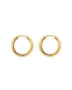 Wren Hoops [earrings]